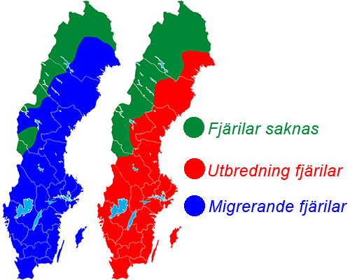 Utbredningskarta Svenska fjärilar